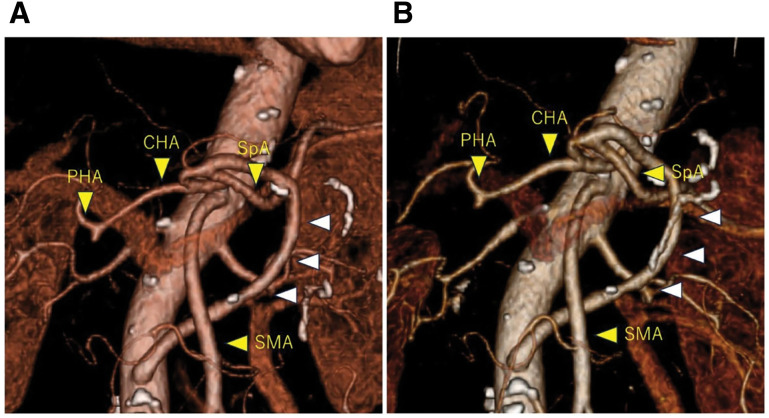 Fig. 5