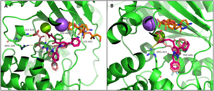 Figure 7
