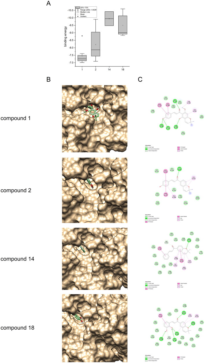Figure 5
