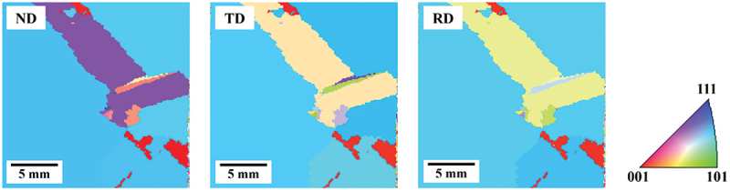 Figure 5