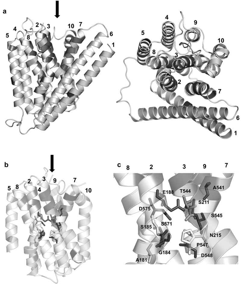 Figure 9