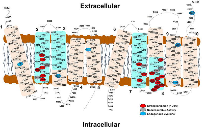 Figure 10