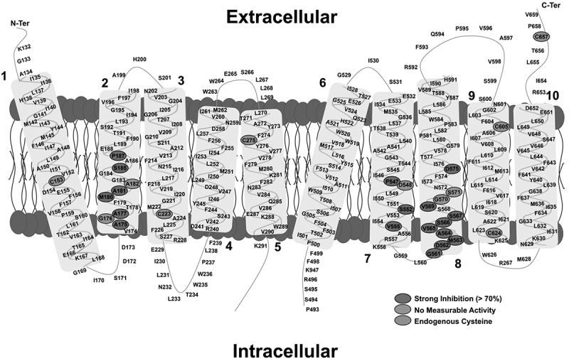 Figure 11