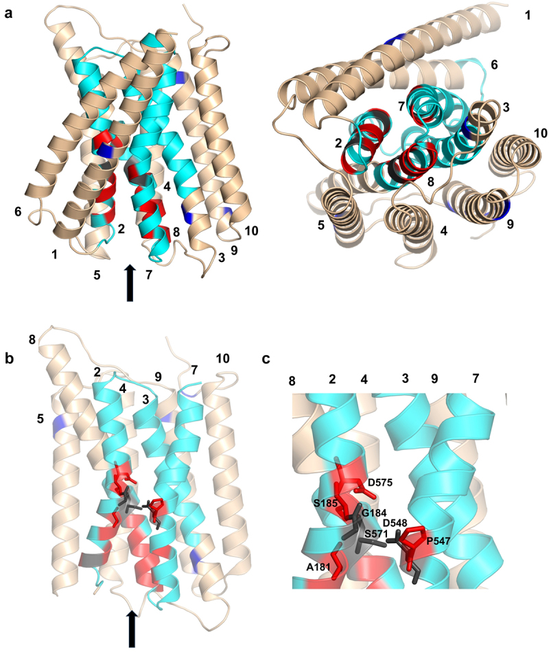Figure 13