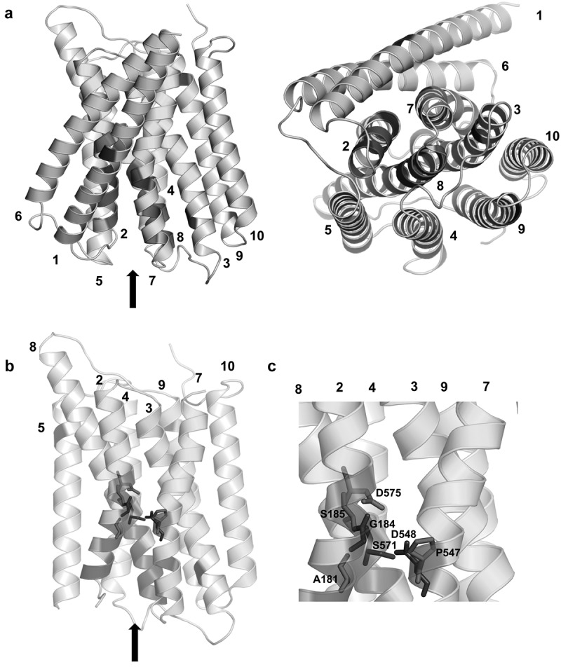 Figure 14