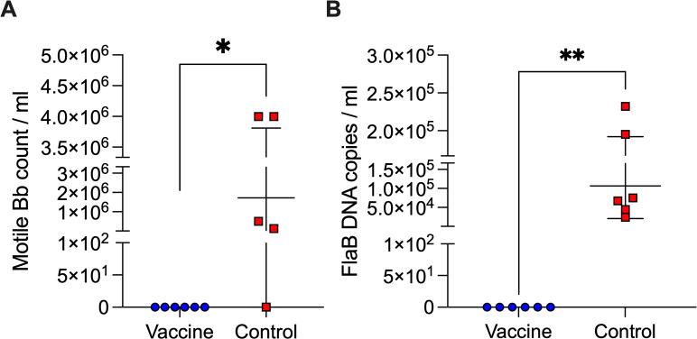 Fig 5