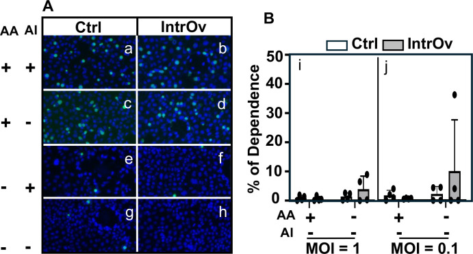 Fig 6