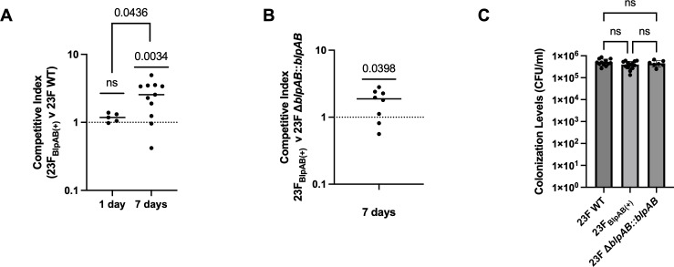 Fig 5