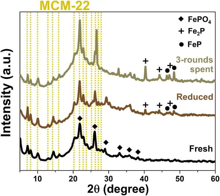 Fig. 11