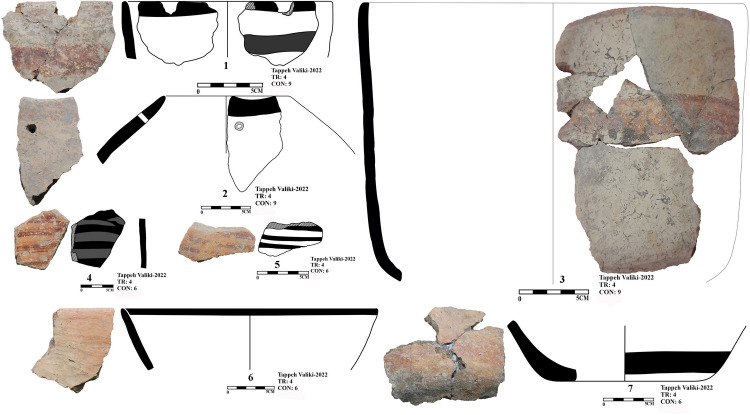 Fig 10