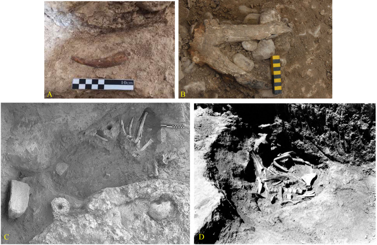 Fig 16