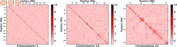 Fig 2