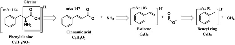 Fig 8