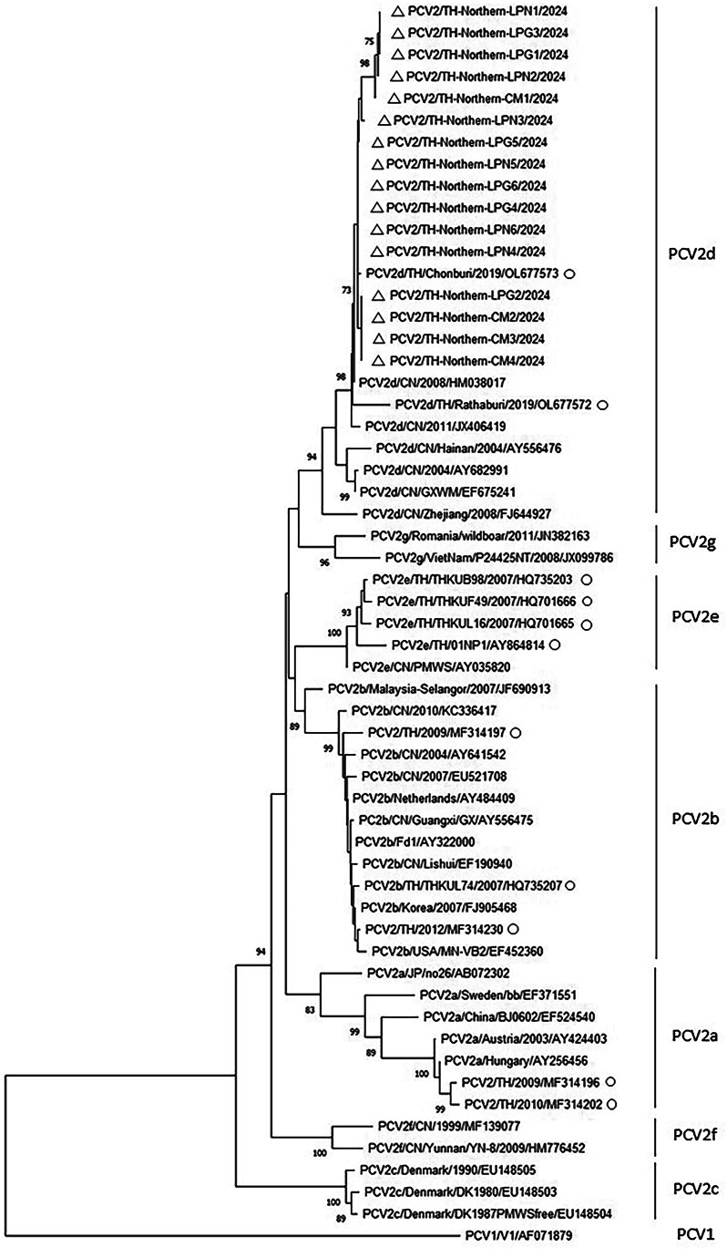 Figure 2