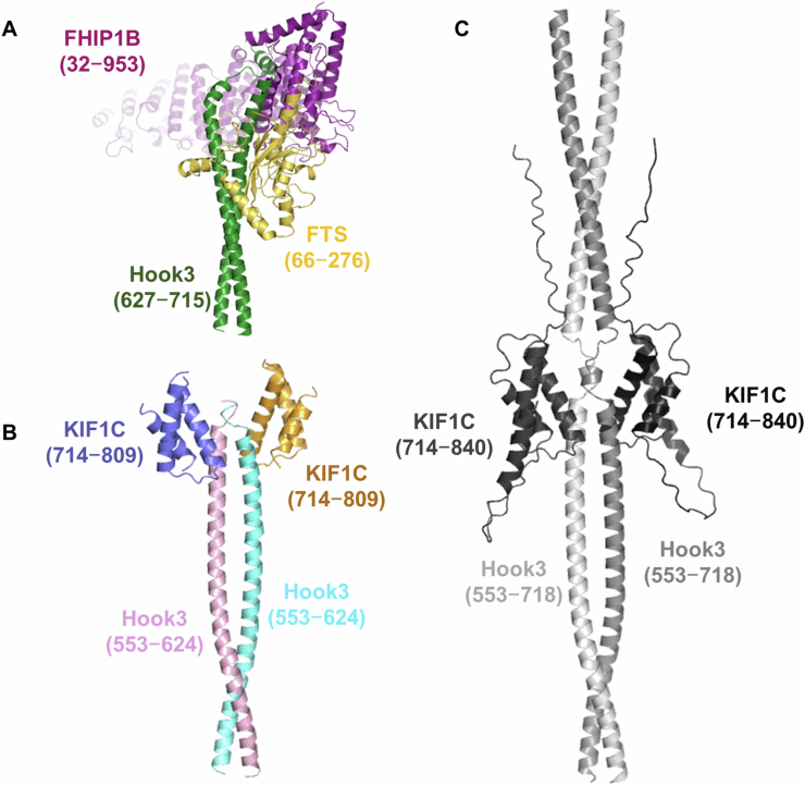 Figure 11