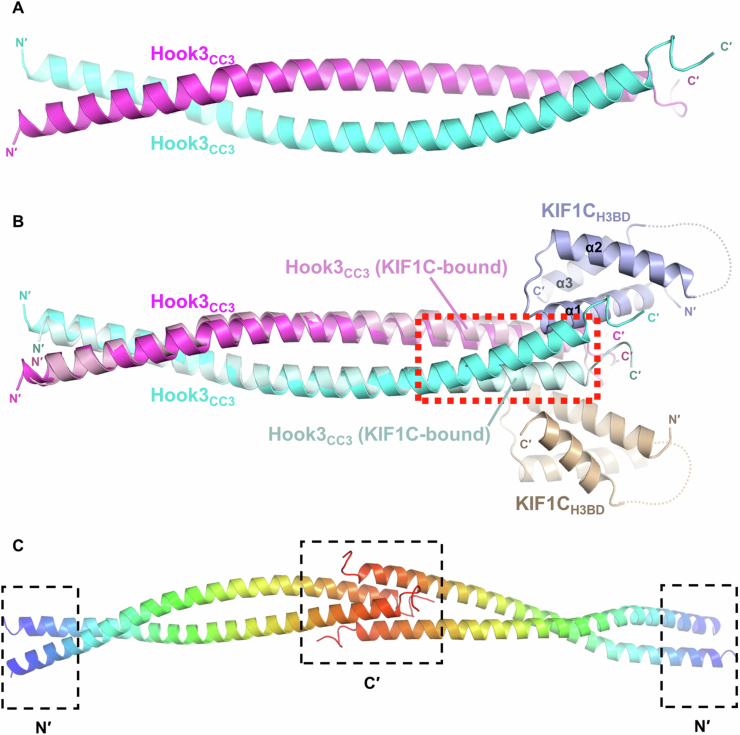 Figure 7