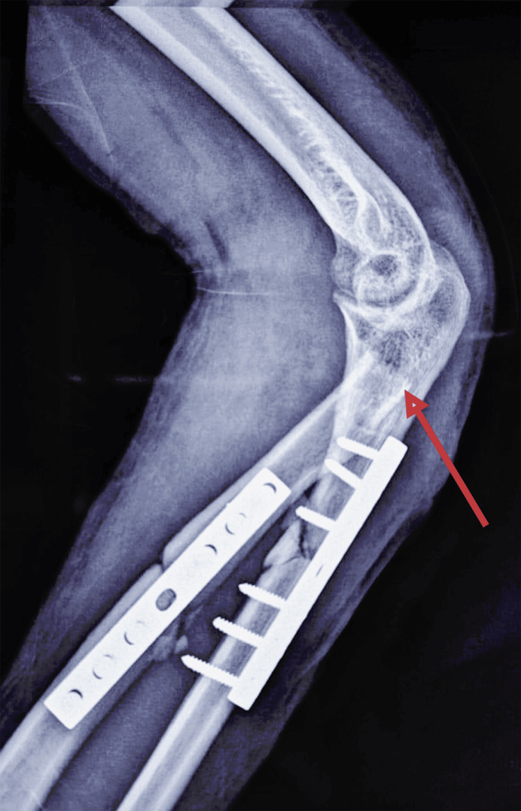Figure 7