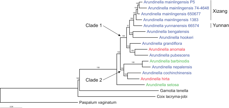 Figure 1