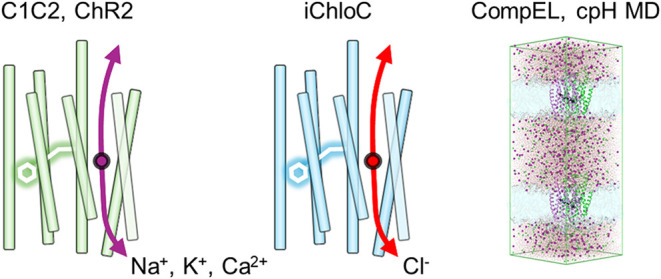 Figure 9