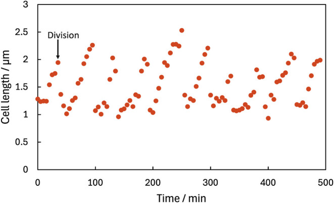 Figure 7