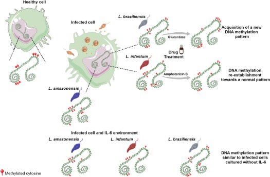 Figure 11
