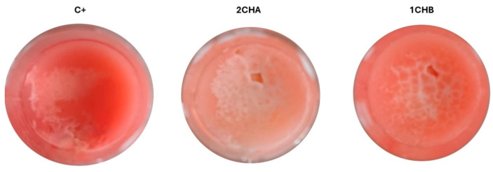 Figure 13