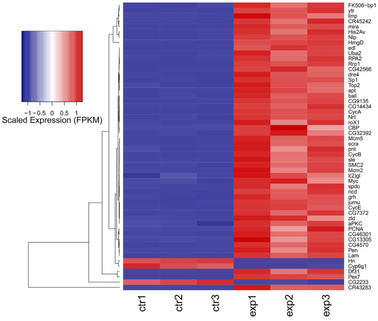 Figure 6