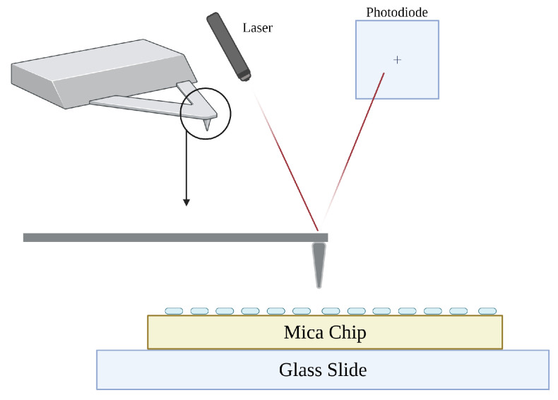 Figure 6