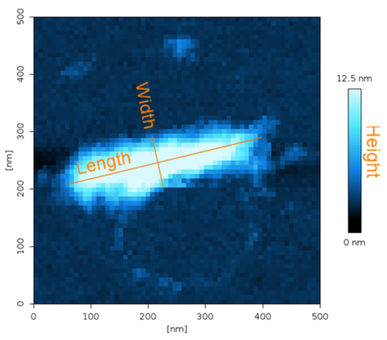 Figure 12
