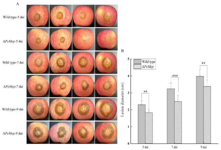 Figure 10