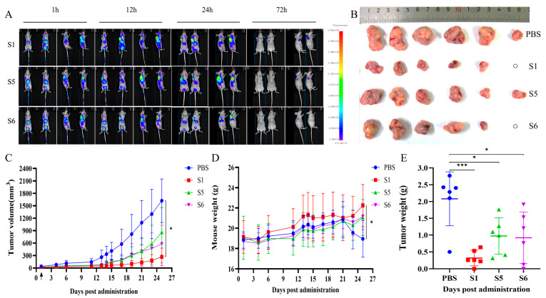 Figure 6