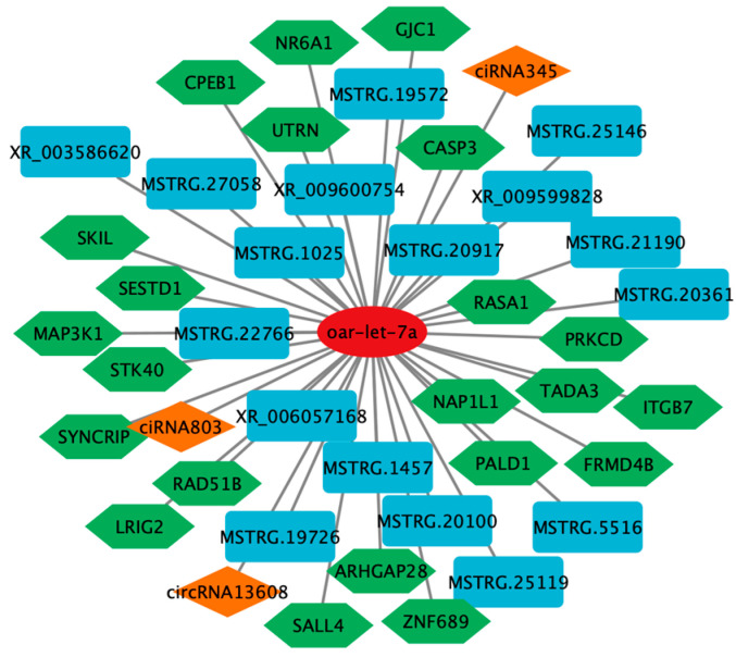 Figure 7