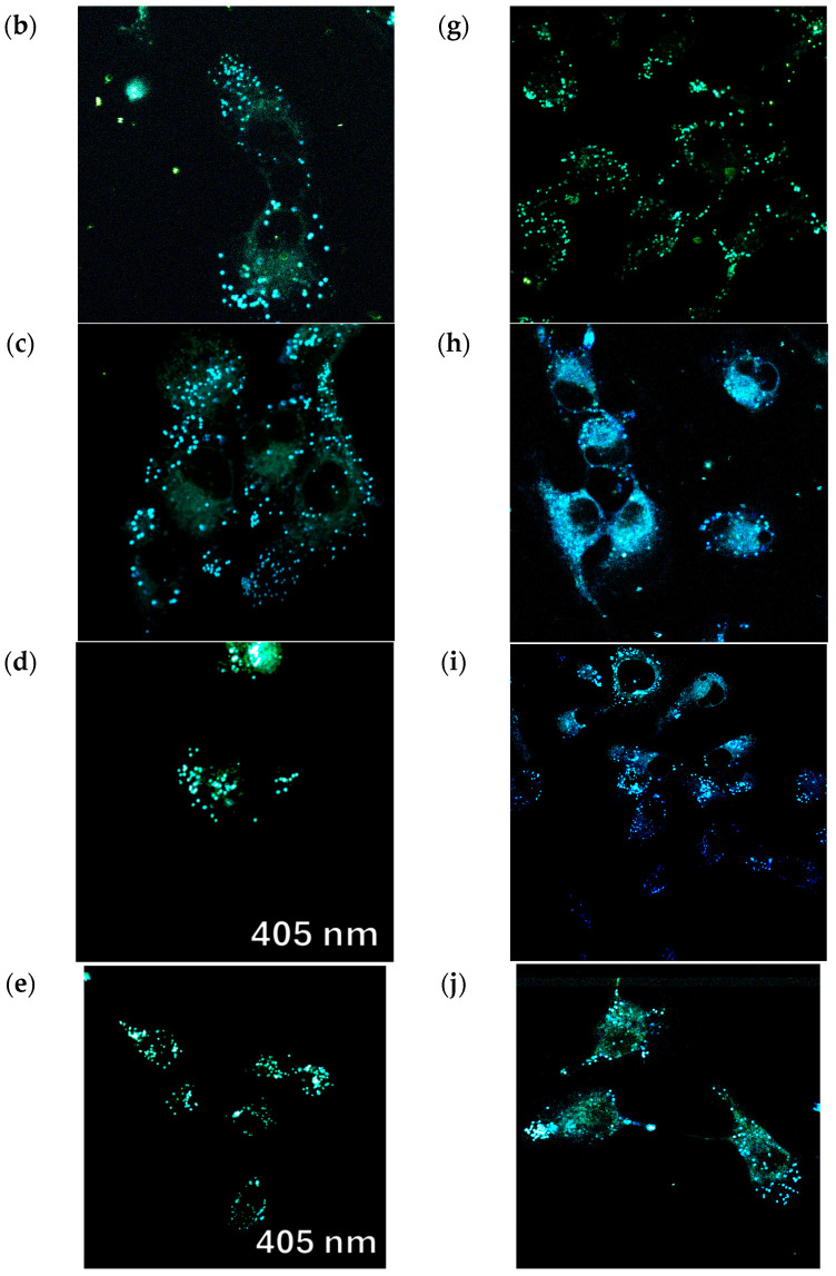 Figure 13