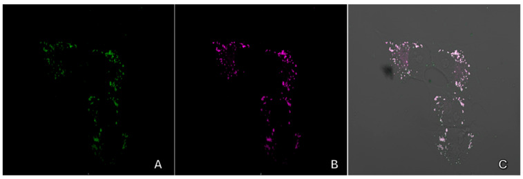 Figure 17