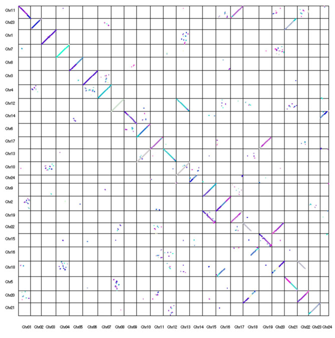 Figure 8