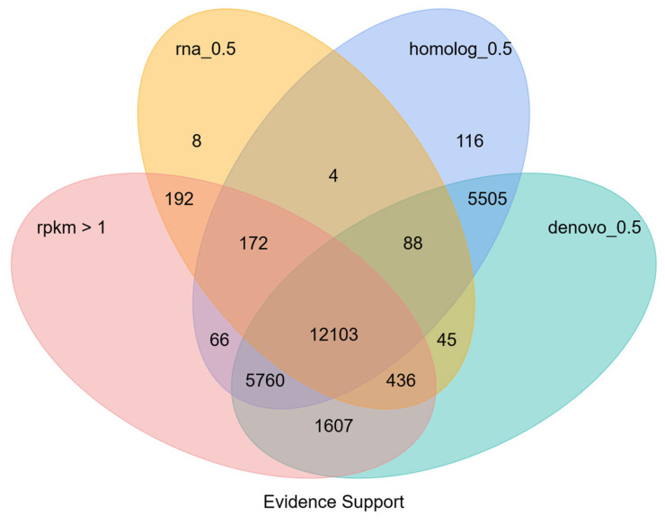 Figure 12