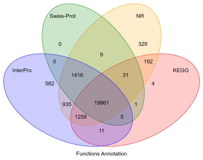 Figure 13