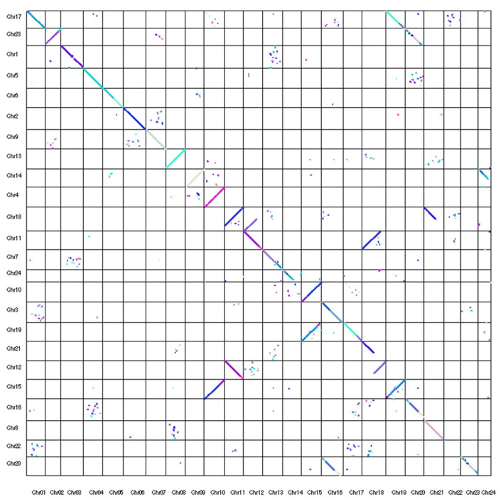 Figure 16