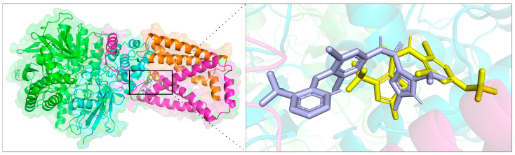 Figure 6