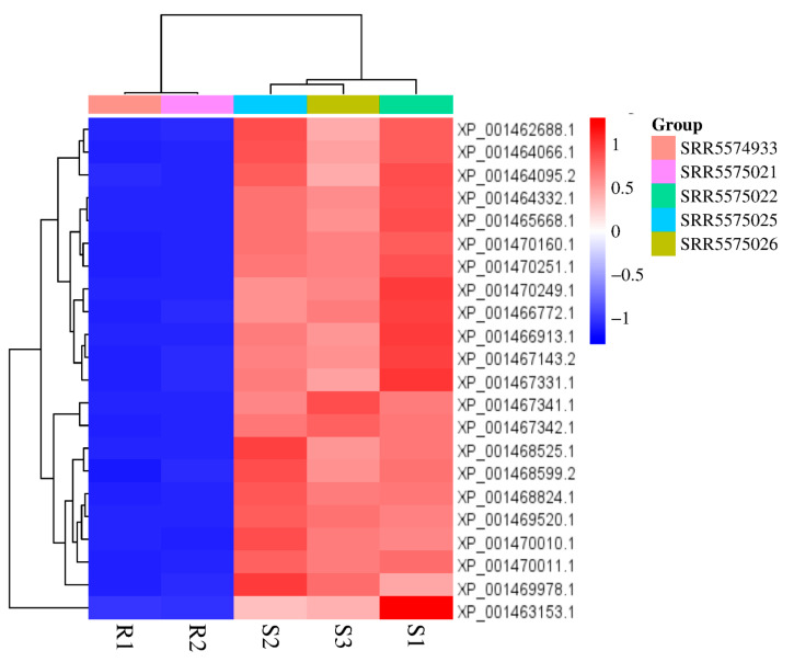 Figure 4