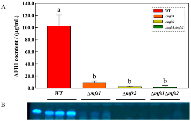 Figure 10