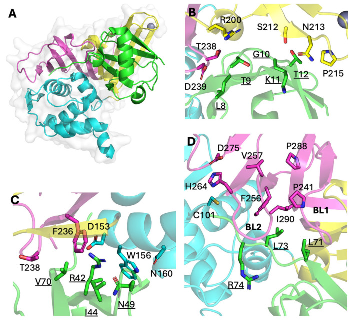 Figure 6