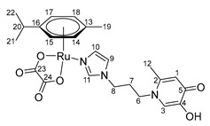 Figure 20