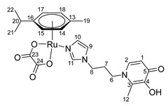 Figure 21