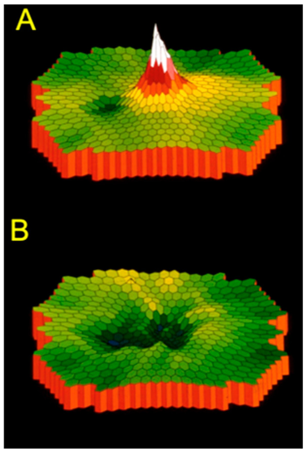 Figure 17