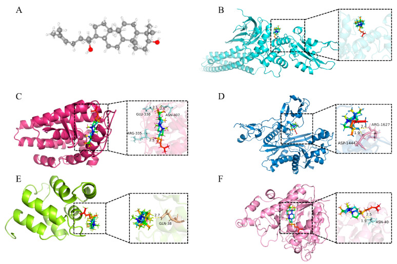 Figure 6