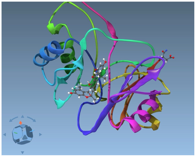 Figure 2