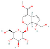 Figure 21
