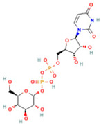 Figure 38
