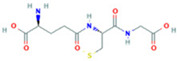 Figure 42